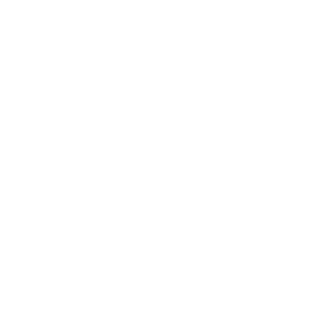 Zenodo Icon