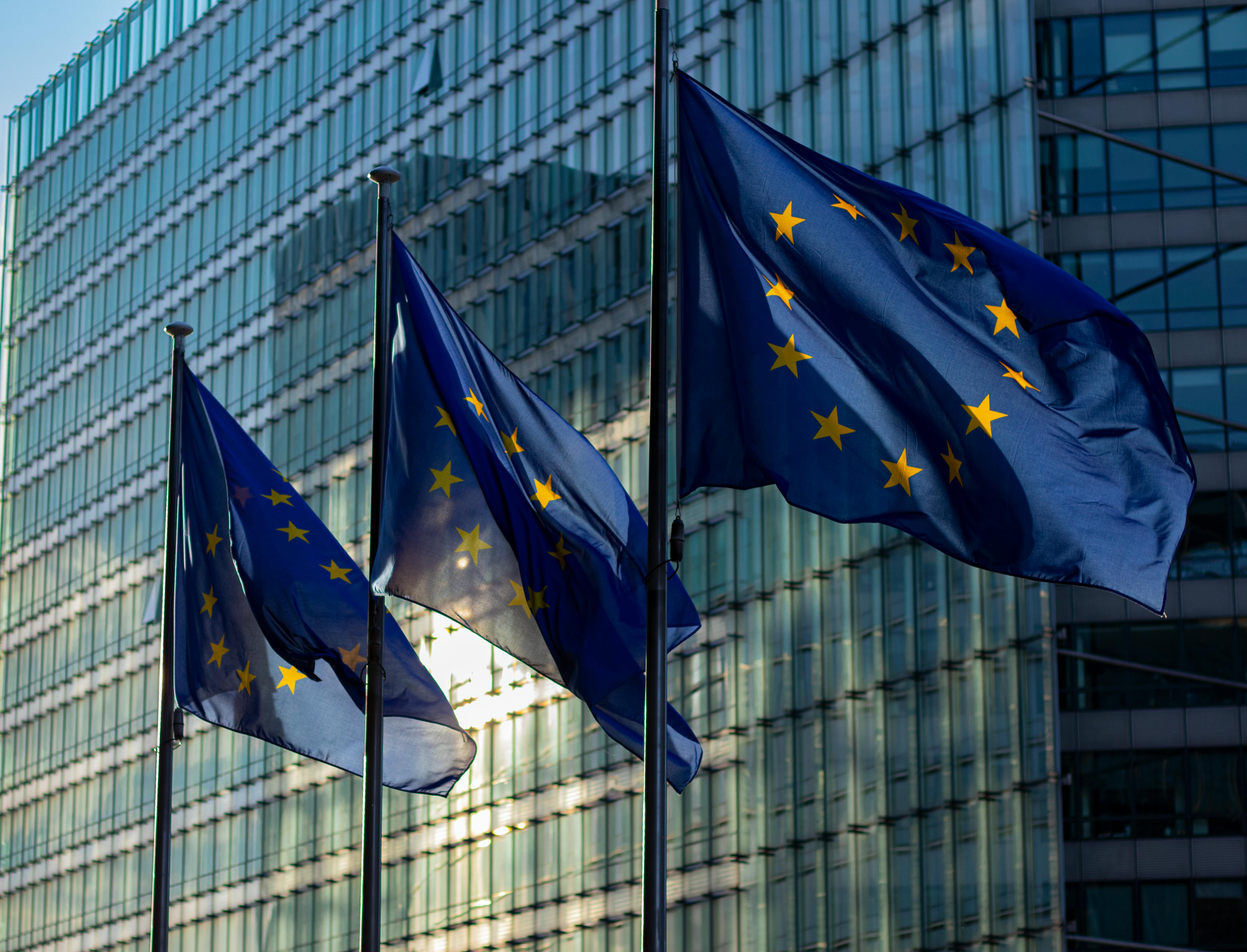 Design and Implementation of European Projects