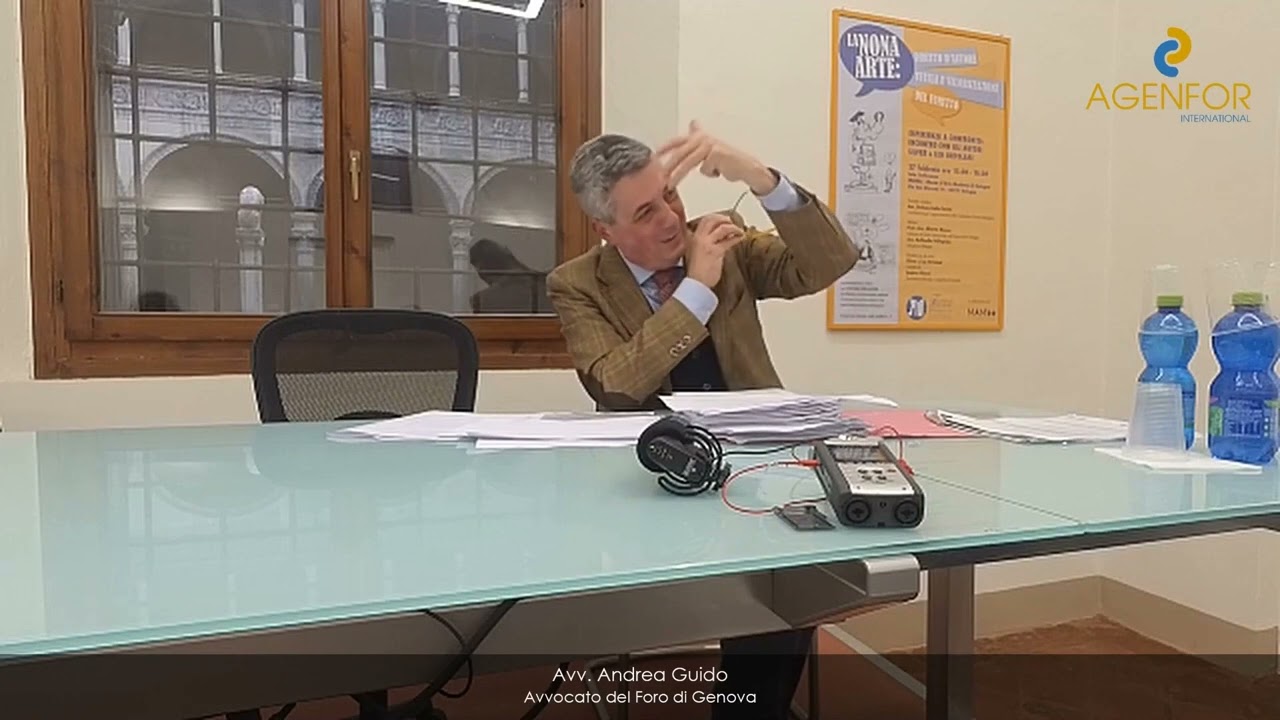 Overview of the EAW and the rights of the suspect