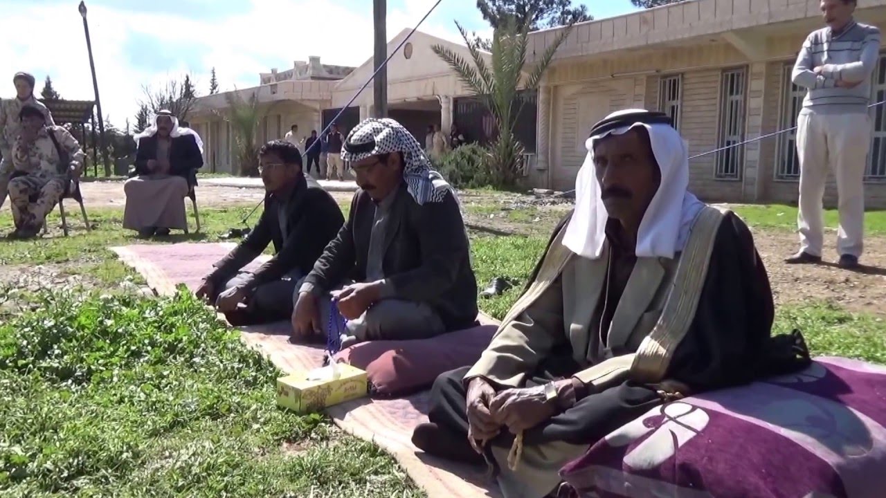 Back to the Olive Trees in Syria: An Alternative to Emigration